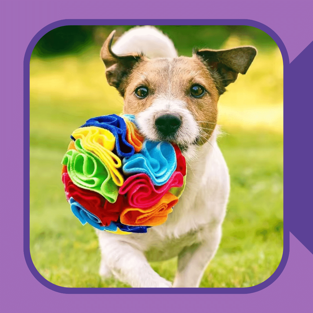 Snuffle Ball: Engaging Interactive Toy for Endless Pet Fun!