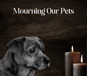 Mourning the Loss of A Beloved Pet