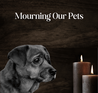 Mourning the Loss of A Beloved Pet