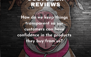 Reviews & The Small Business
