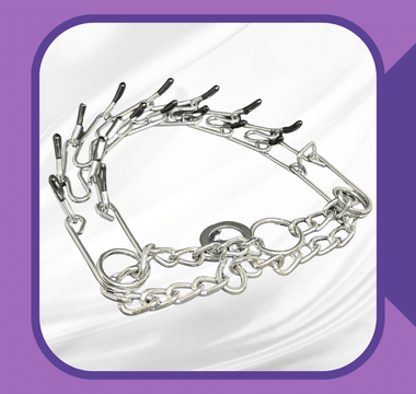 Prong Collars - What Everyone Should Know