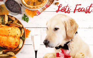 Keep Thanksgiving Cheerful by Knowing What to Share with Your Pup