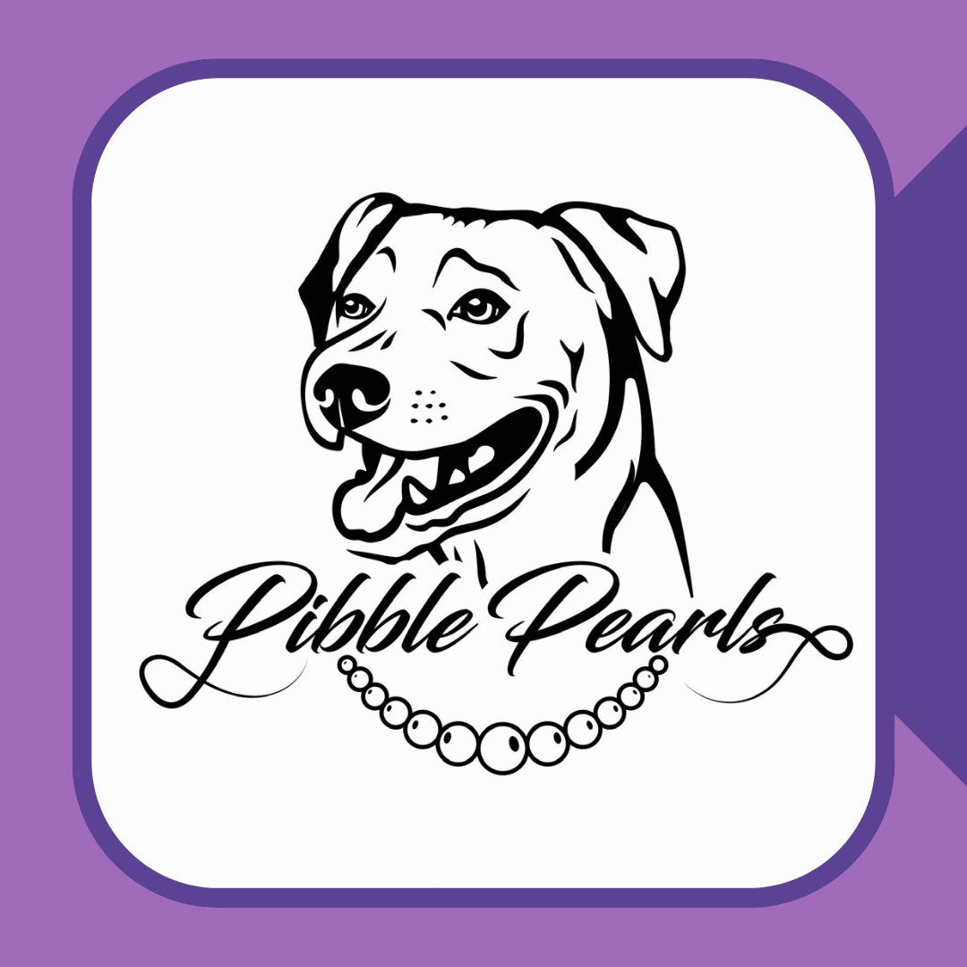 top selling products at pibble pearls collars toys supplies great prices 