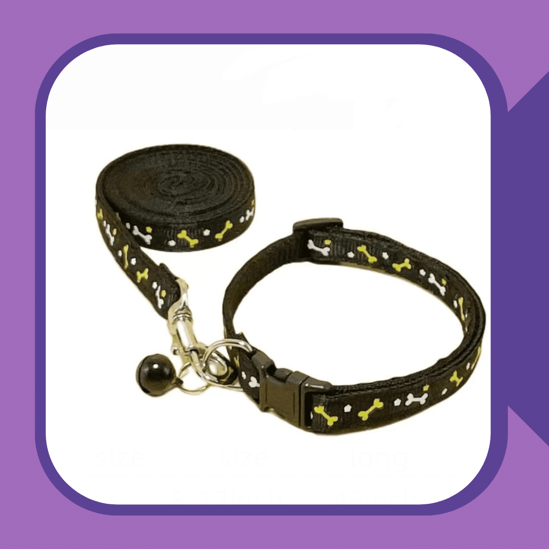 Small Pet Leash and Collar Set