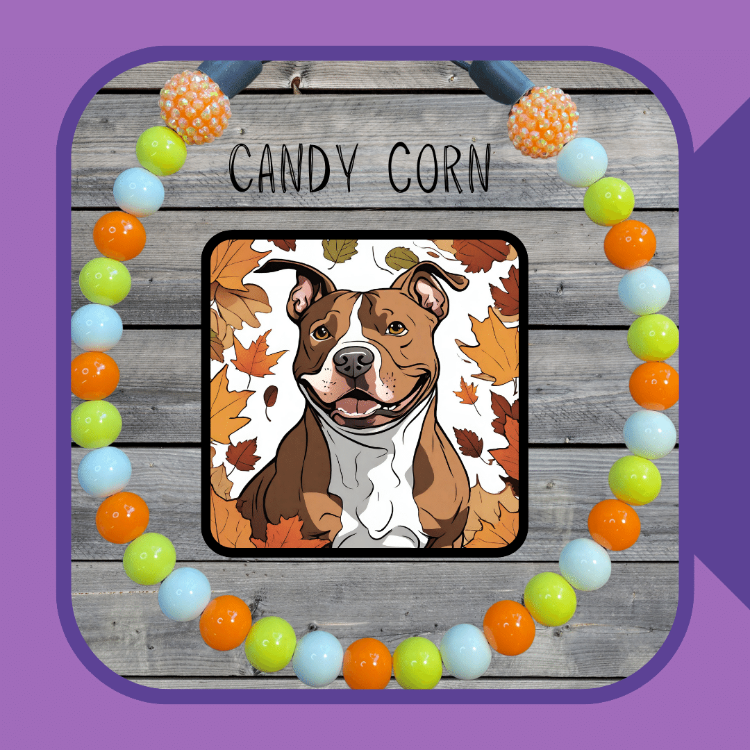 Candy Corn Dog Collar