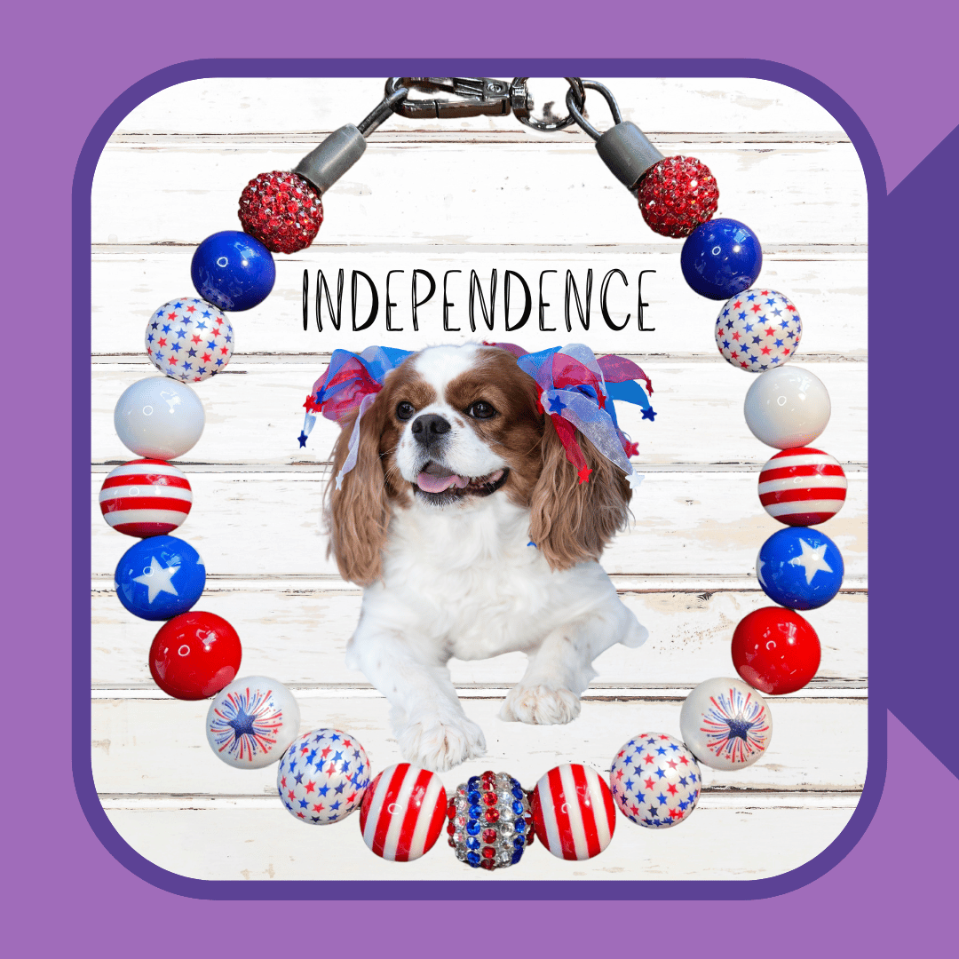 Independence Dog Collar
