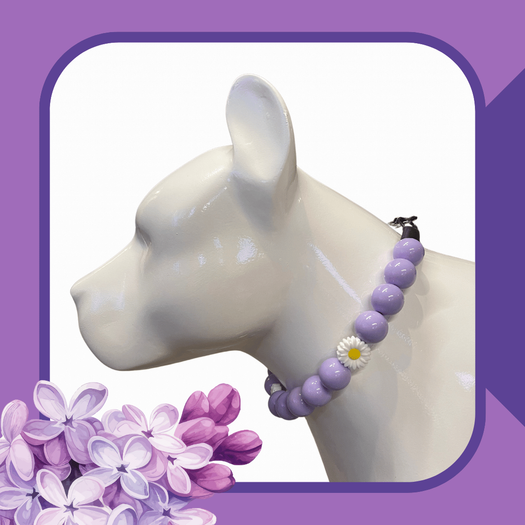 Lilac and Daisies Dog Collar