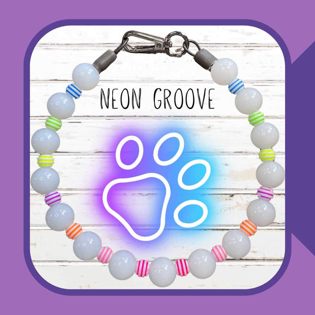 Neon Groove Dog Collar