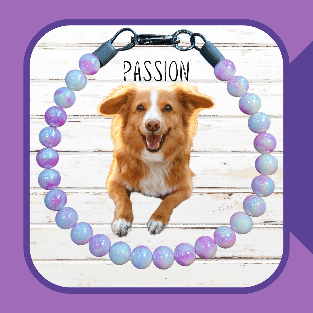 Passion Dog Collar
