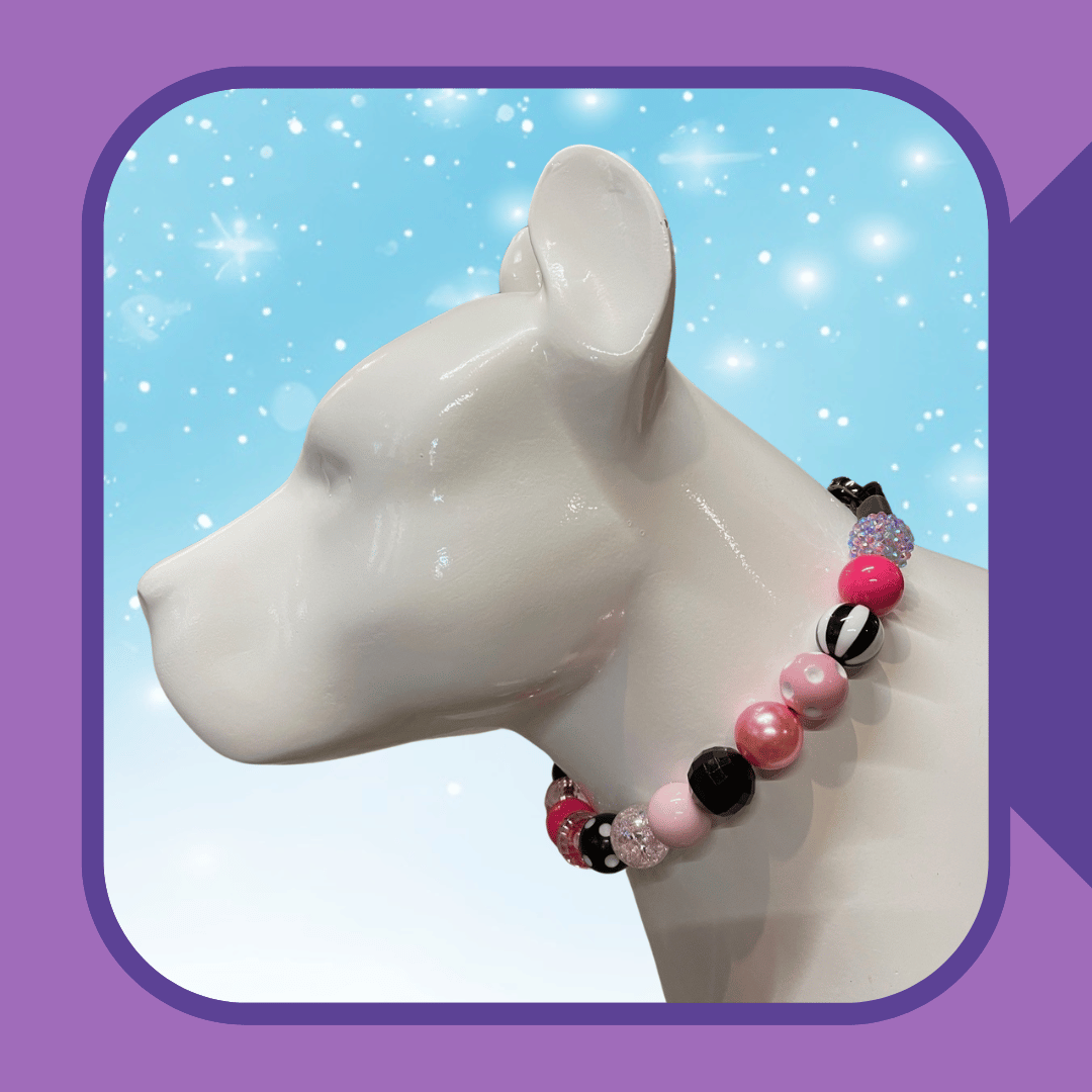 Pibble Party Mix Dog Collar