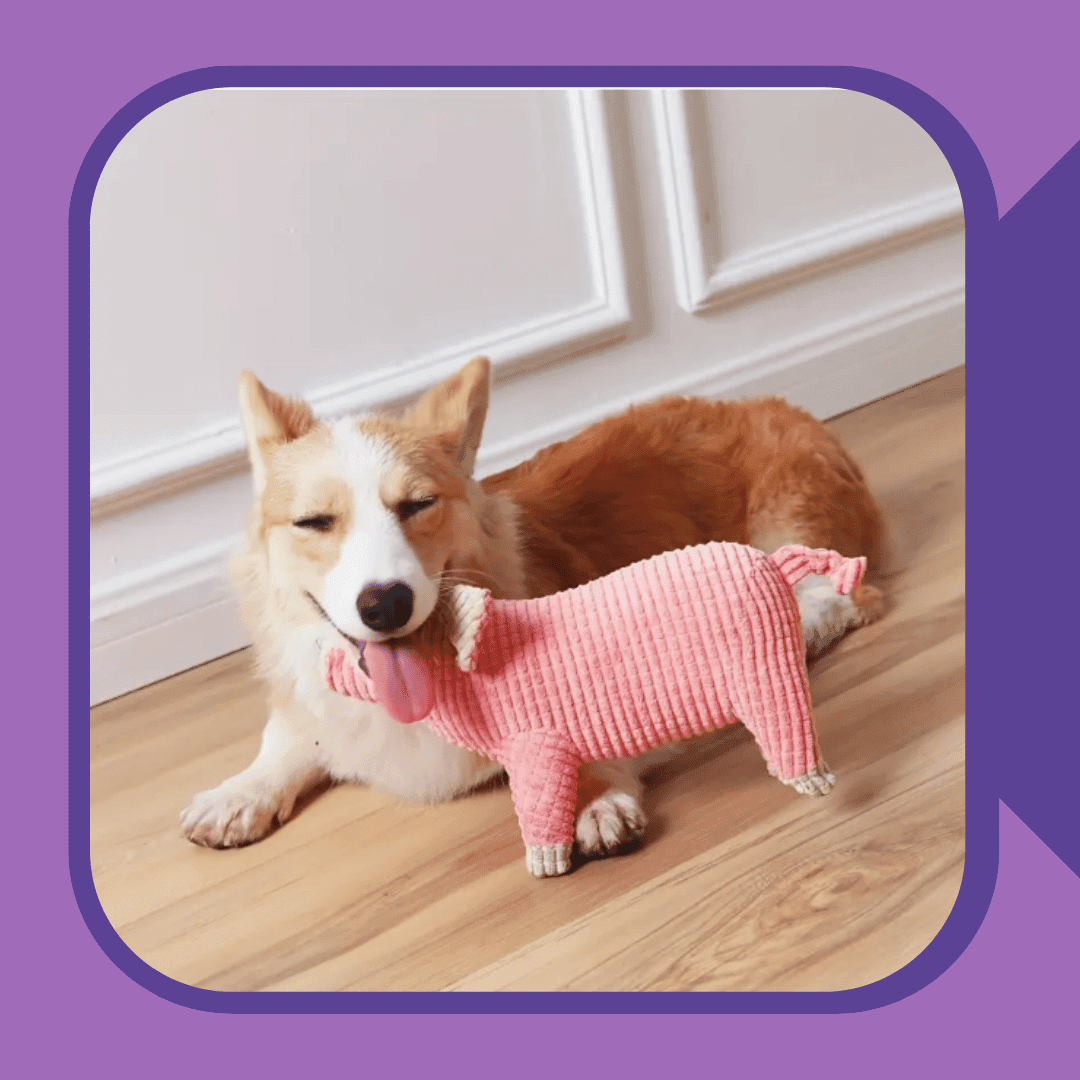 Piggle Giggle - Plush Dog Toy