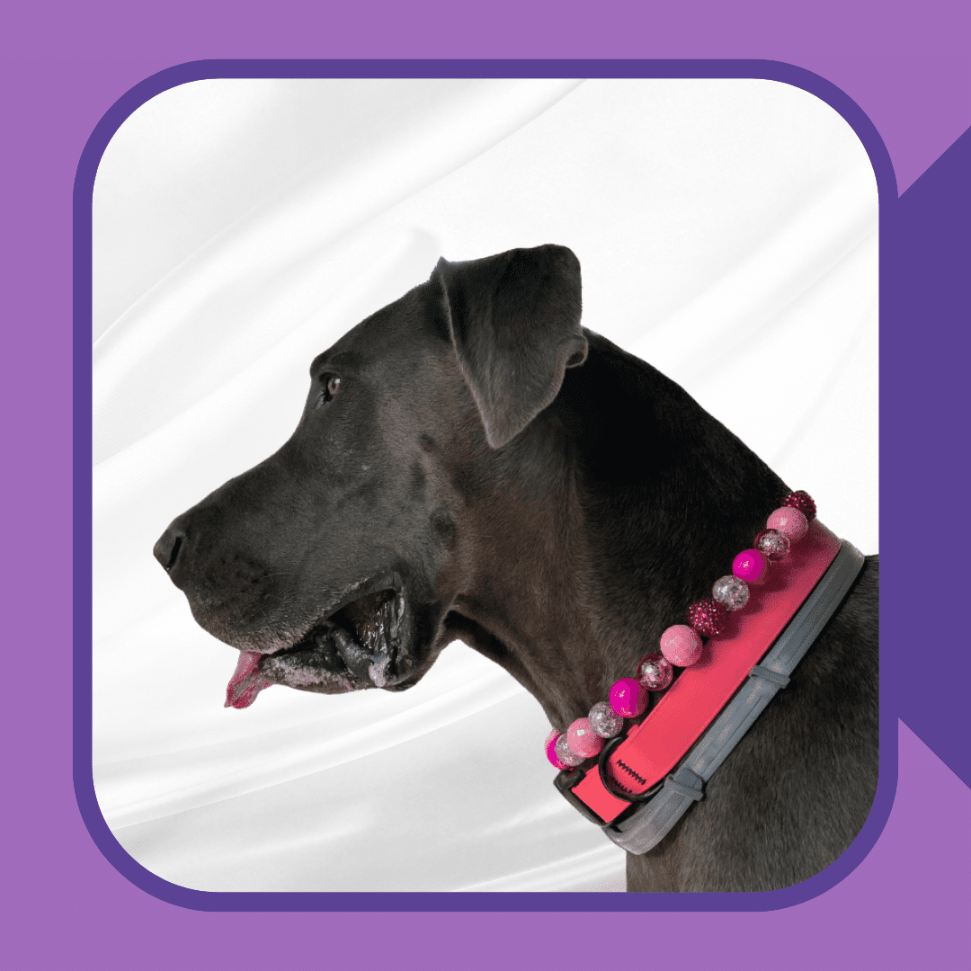 Pretty In Pink Dog Collar