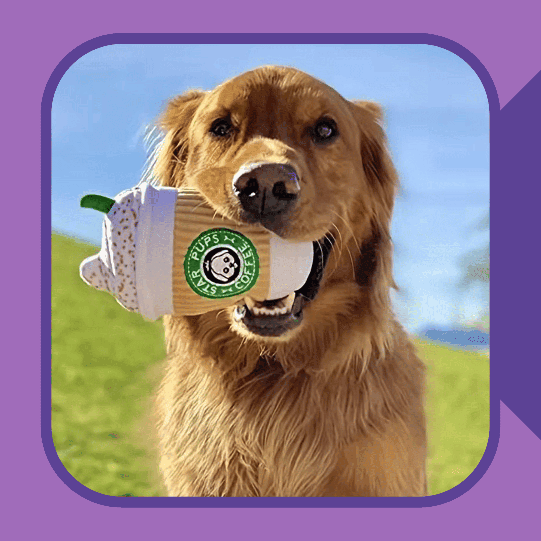 Pup Cup of Fun - Plush Dog Toy