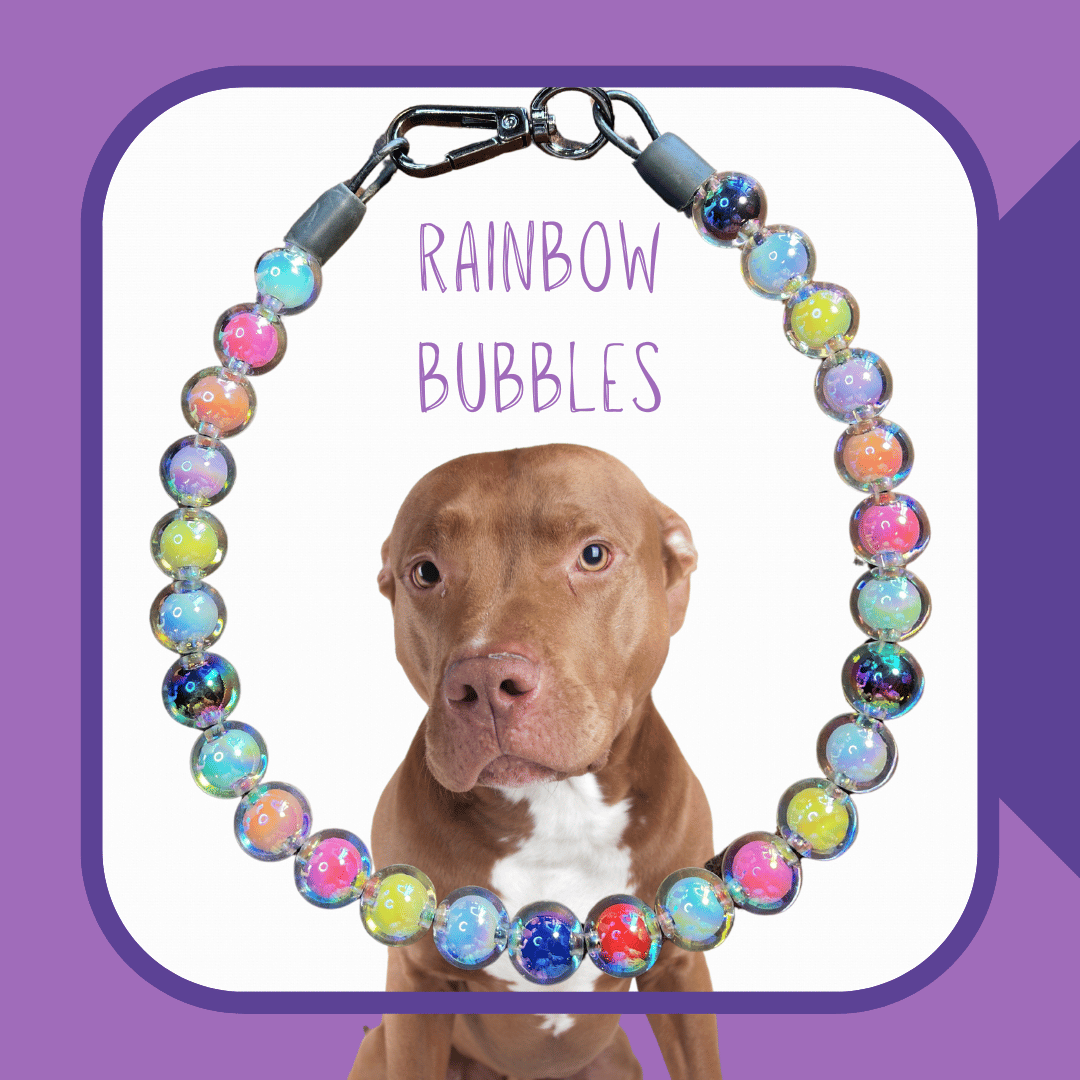 Rainbow Bubbles Dog Collar