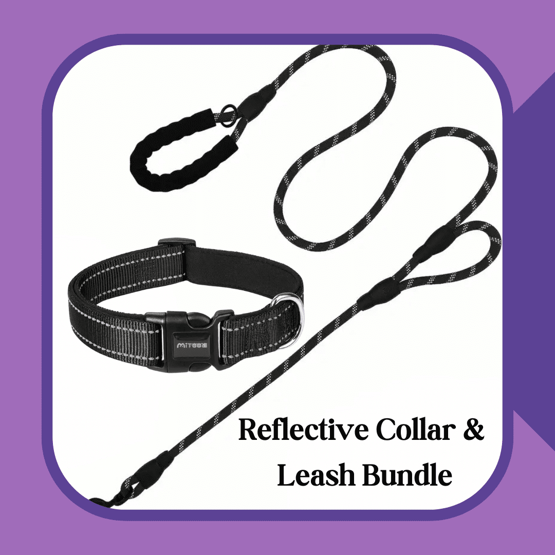 Reflective Collar & Leash Bundle