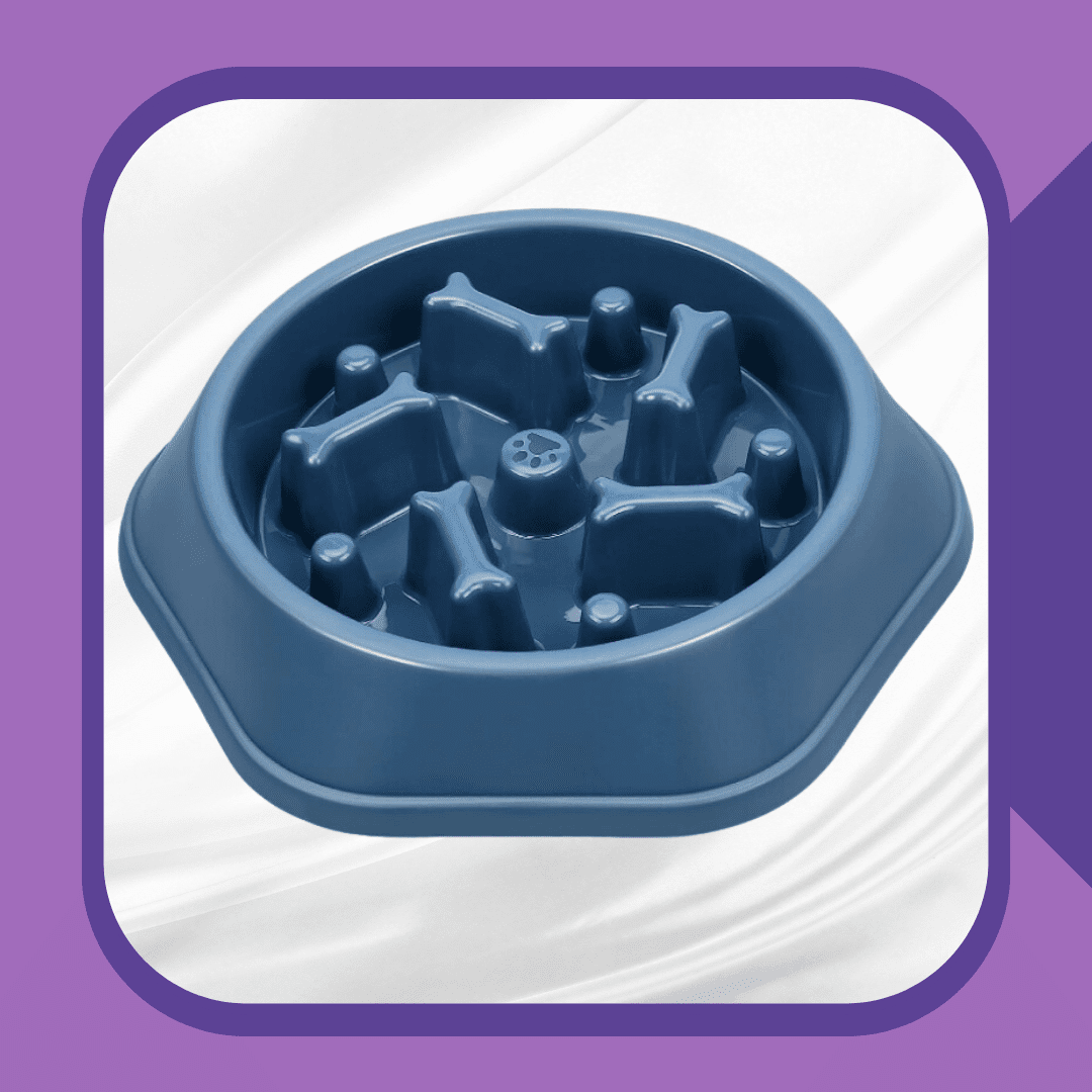 low feeder dog bowl, slow feeder bowl, bowl with bones in it, blue pet bowl, pink pet bowl, non toxic pet bowl anti choking bowl improved digestion dog food bowl
