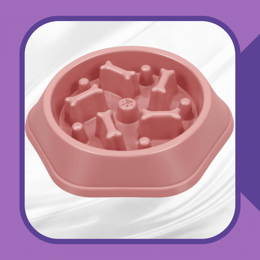 slow feeder dog bowl, slow feeder bowl, bowl with bones  in it, blue pet bowl, pink pet bowl, non toxic pet bowl anti choking bowl improved digestion dog food bowl