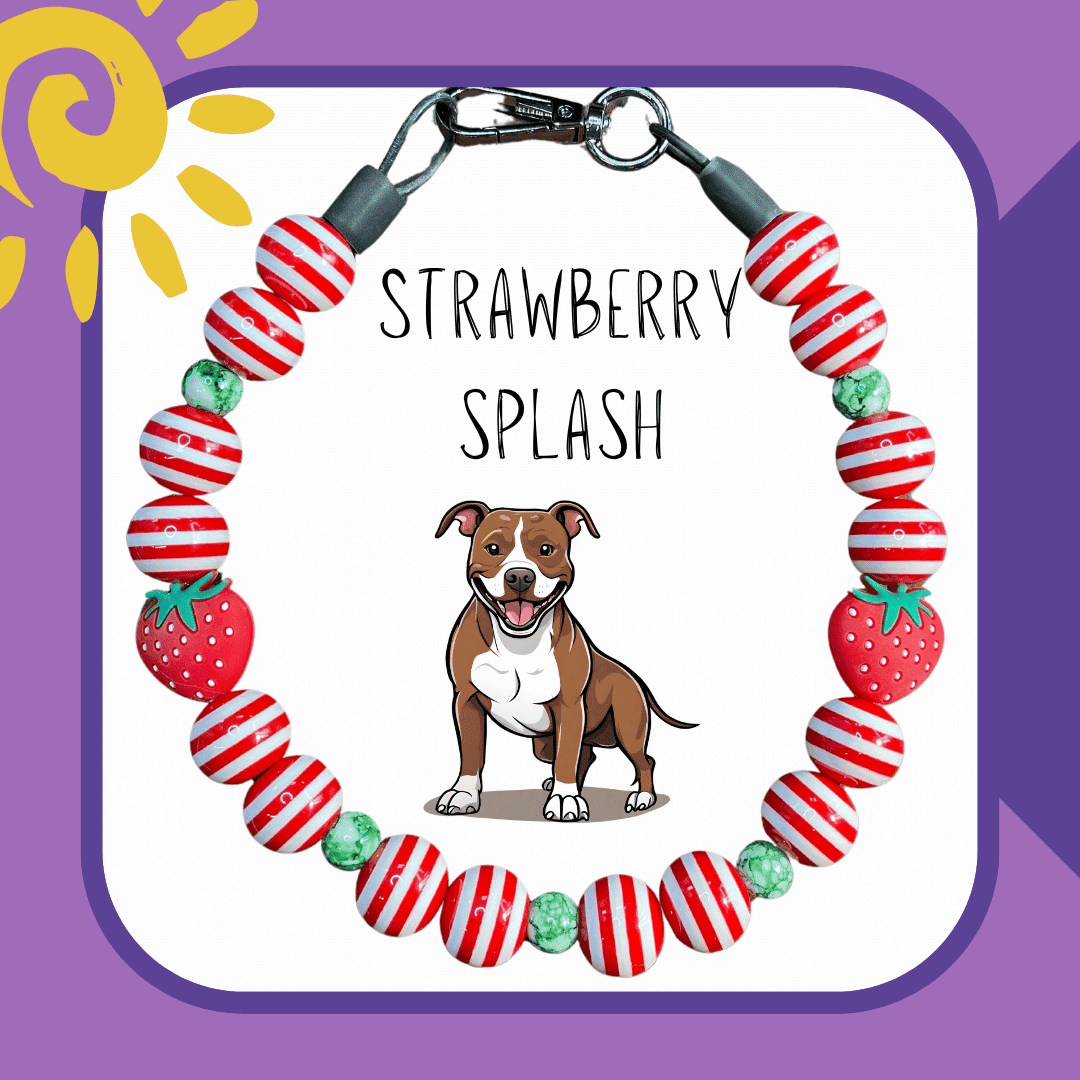 Strawberry Splash Dog Collar