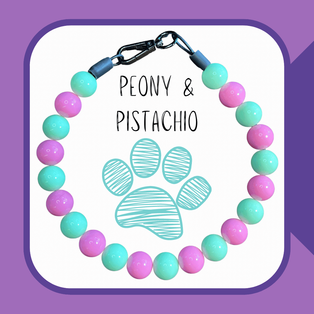 Peony and Pistachio Dog Collar