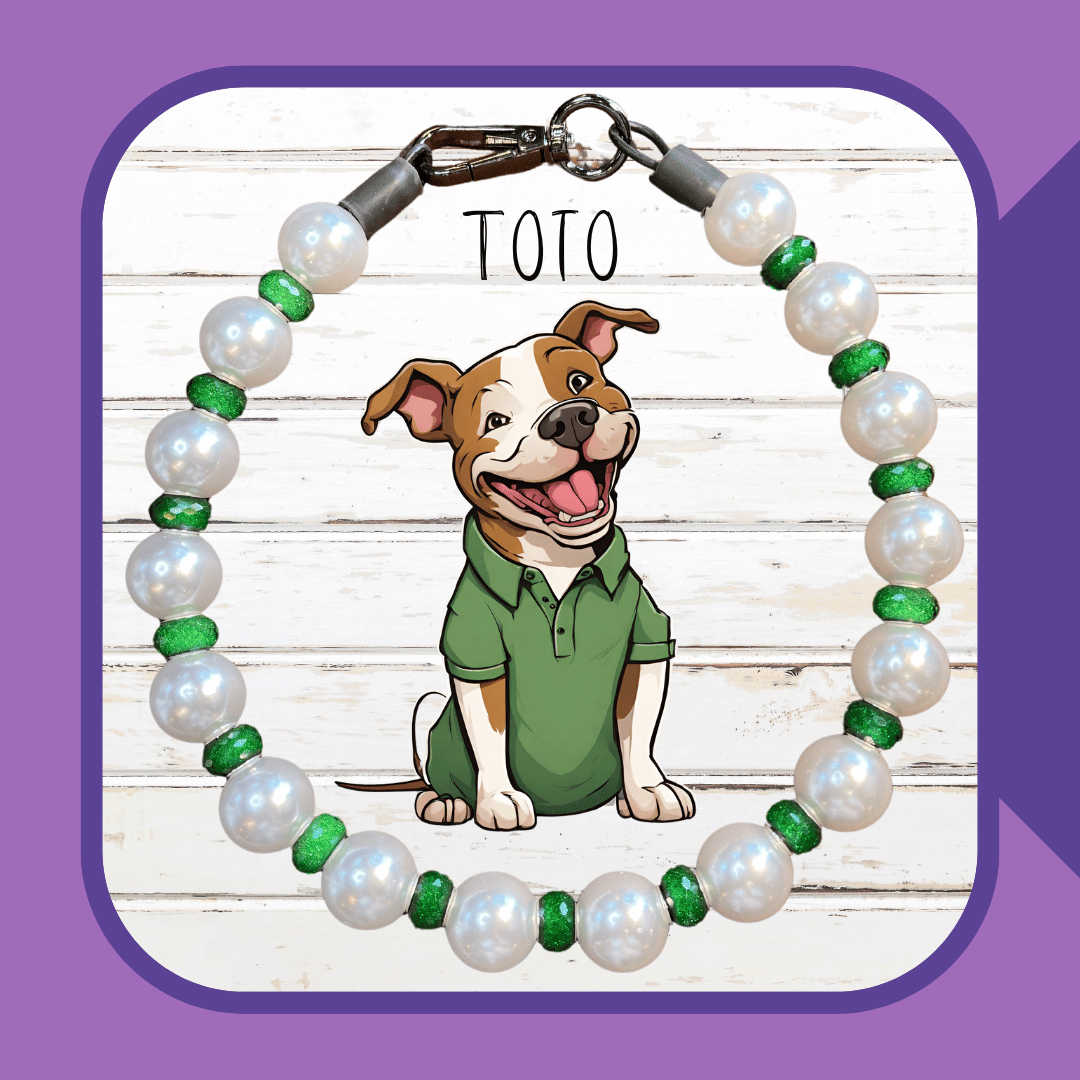Toto Dog Collar