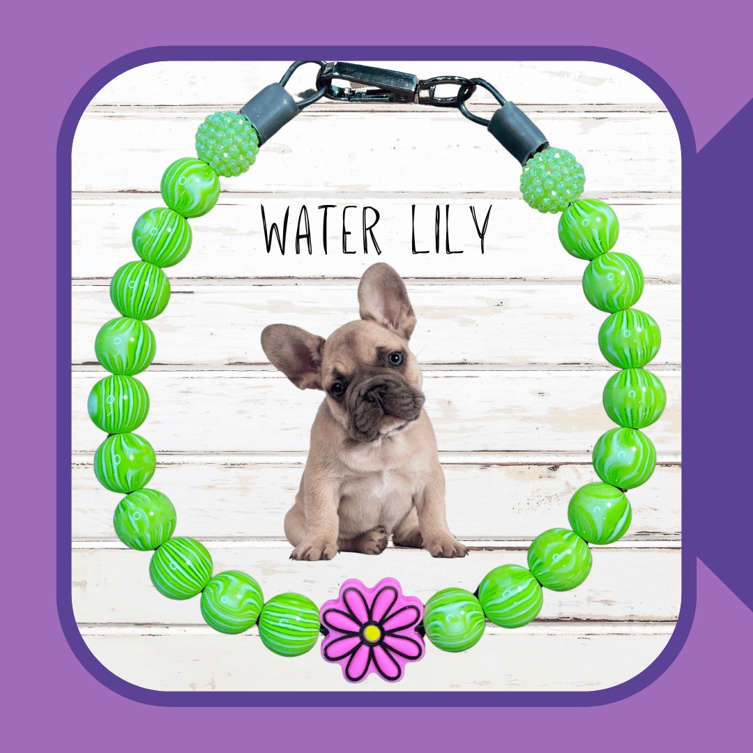 Water Lily Dog Collar